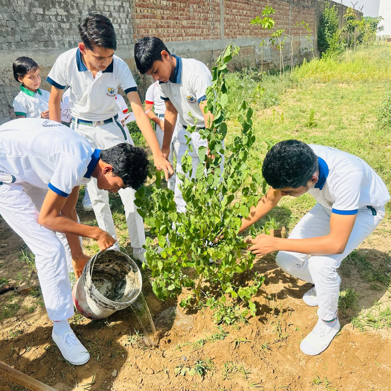 Lipin International School - Best School in Attitka(Sunari), Tauru